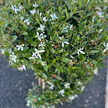 Casilla De Costa, La Oliva 아파트 Villaverde (Fuerteventura)