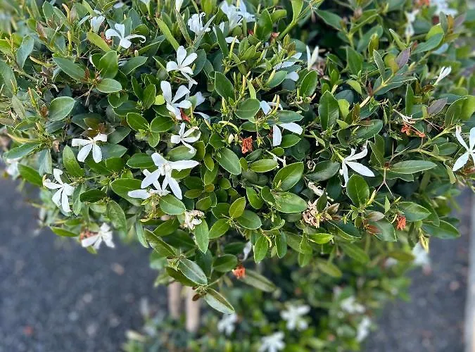 Casilla De Costa, La Oliva Apartament Villaverde (Fuerteventura)