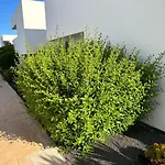 Apartment Casilla De Costa, La Oliva *