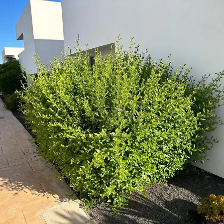 דירה Casilla De Costa, La Oliva *